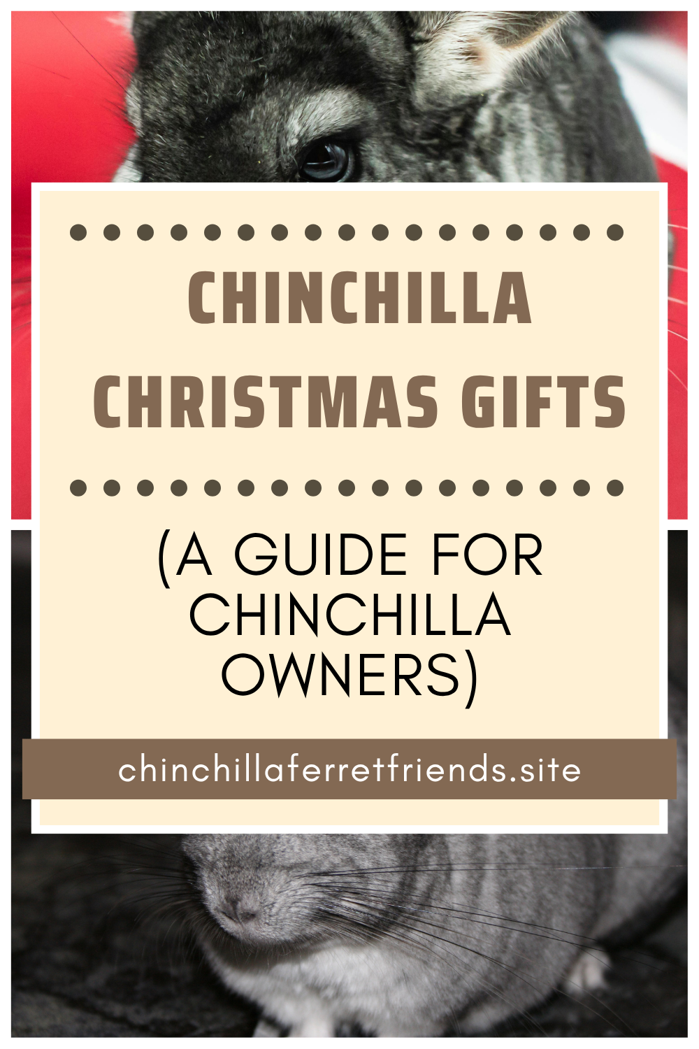Chinchilla Christmas Gifts