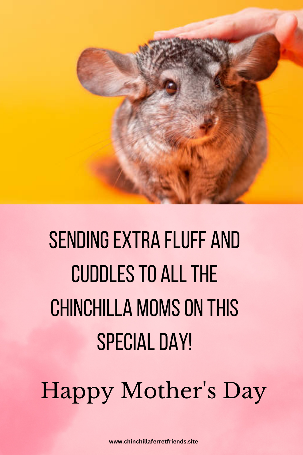 Chinchilla Moms this Mother's Day