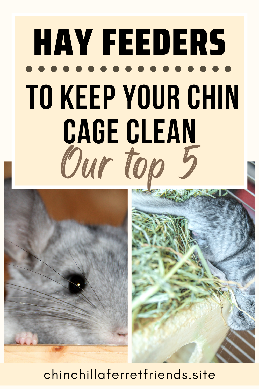 Hay Feeders for chinchillas