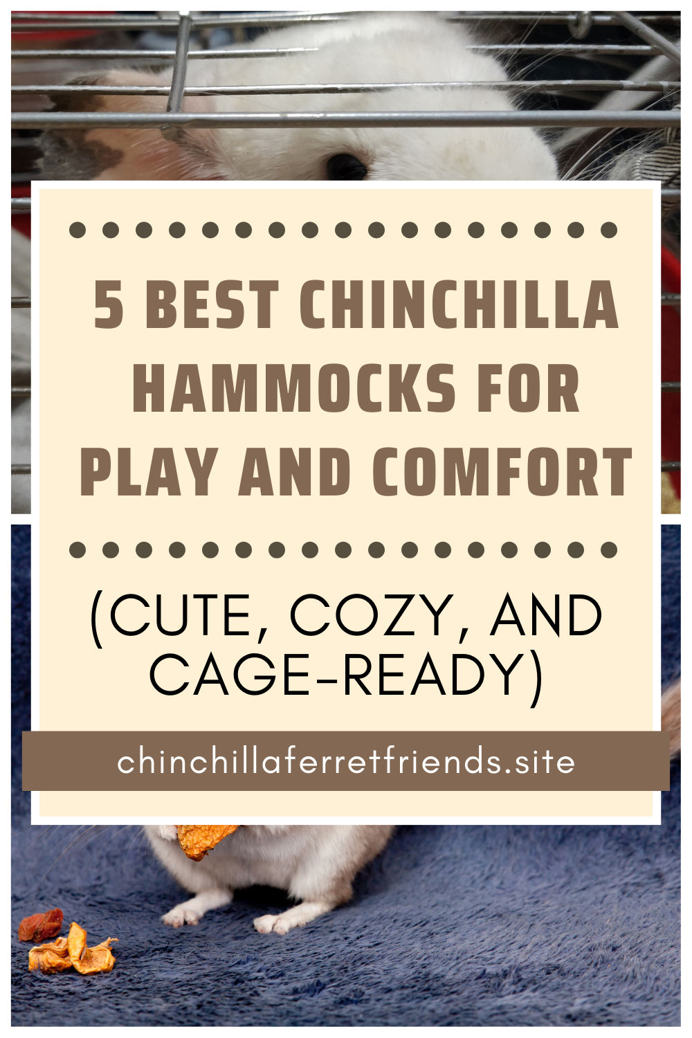 5 Best Chinchilla Hammocks for Play and Comfort