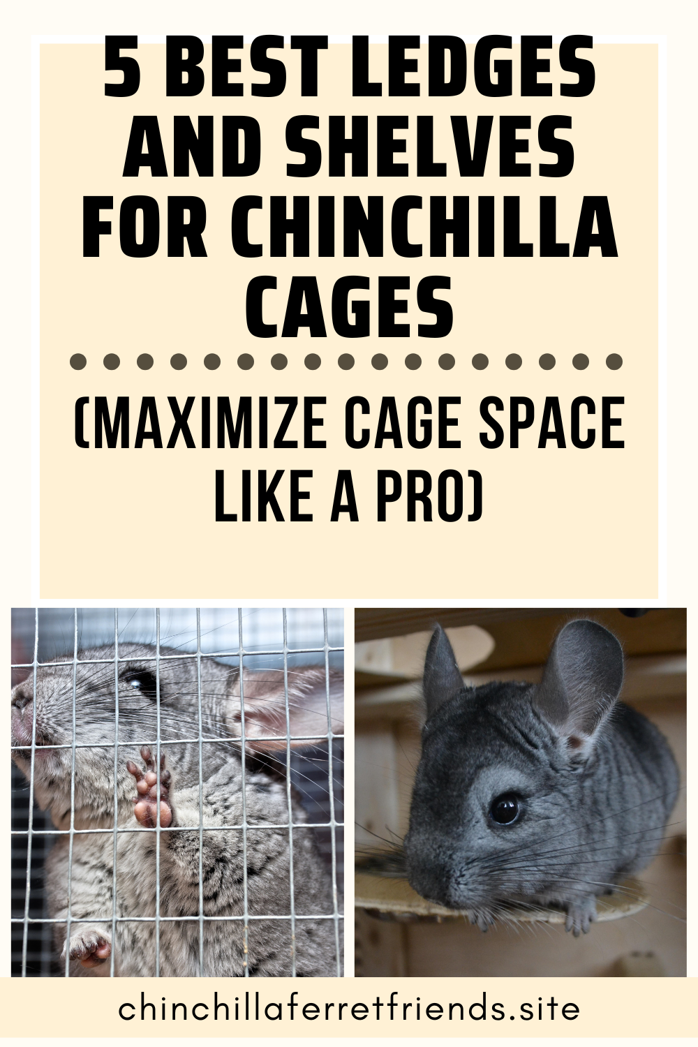 Best Ledges and Shelves for Chinchilla Cages