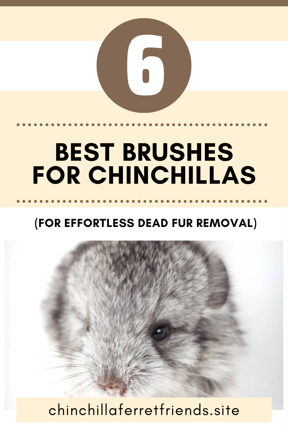 Best Brush for Chinchillas