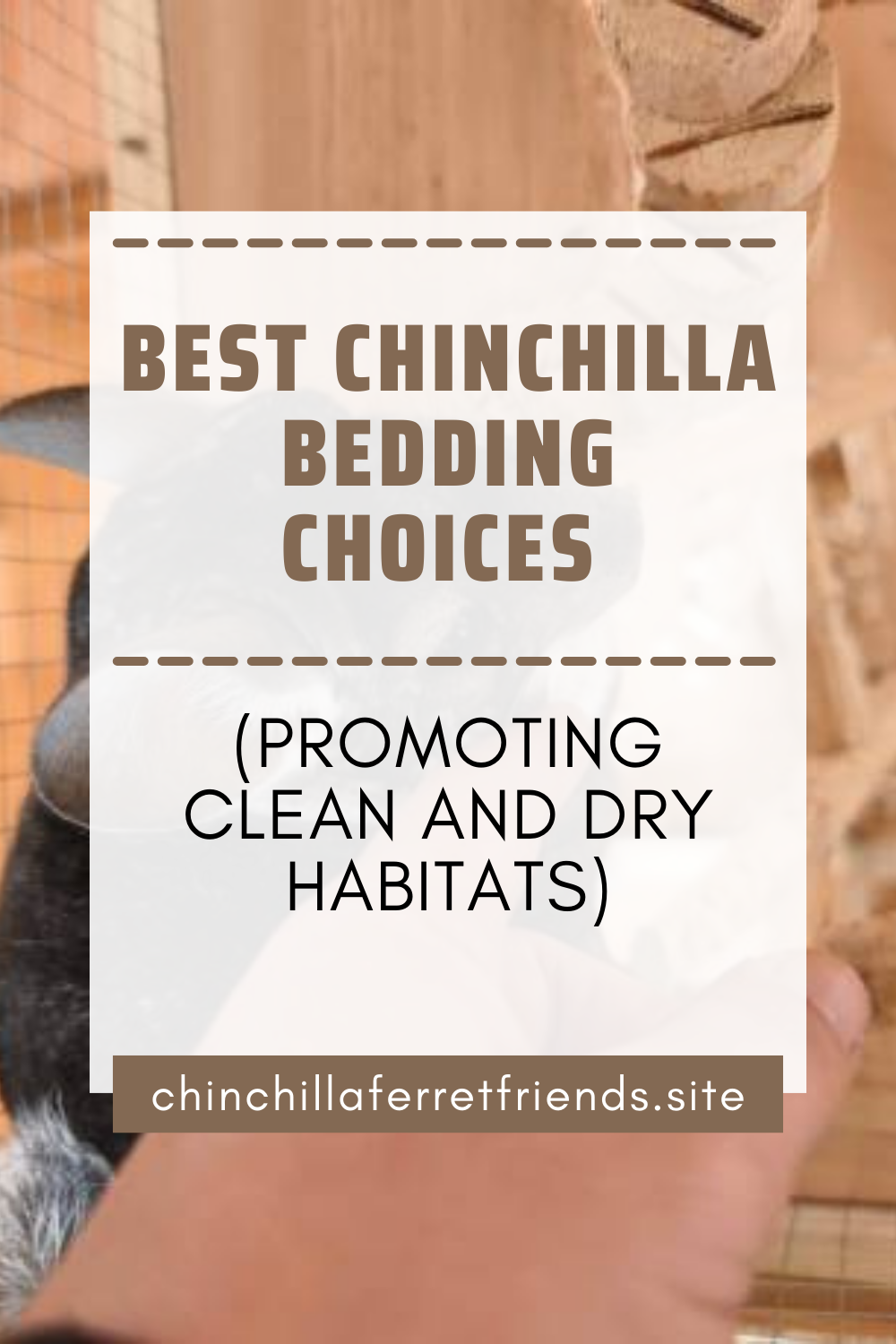 Best Chinchilla Bedding Choices