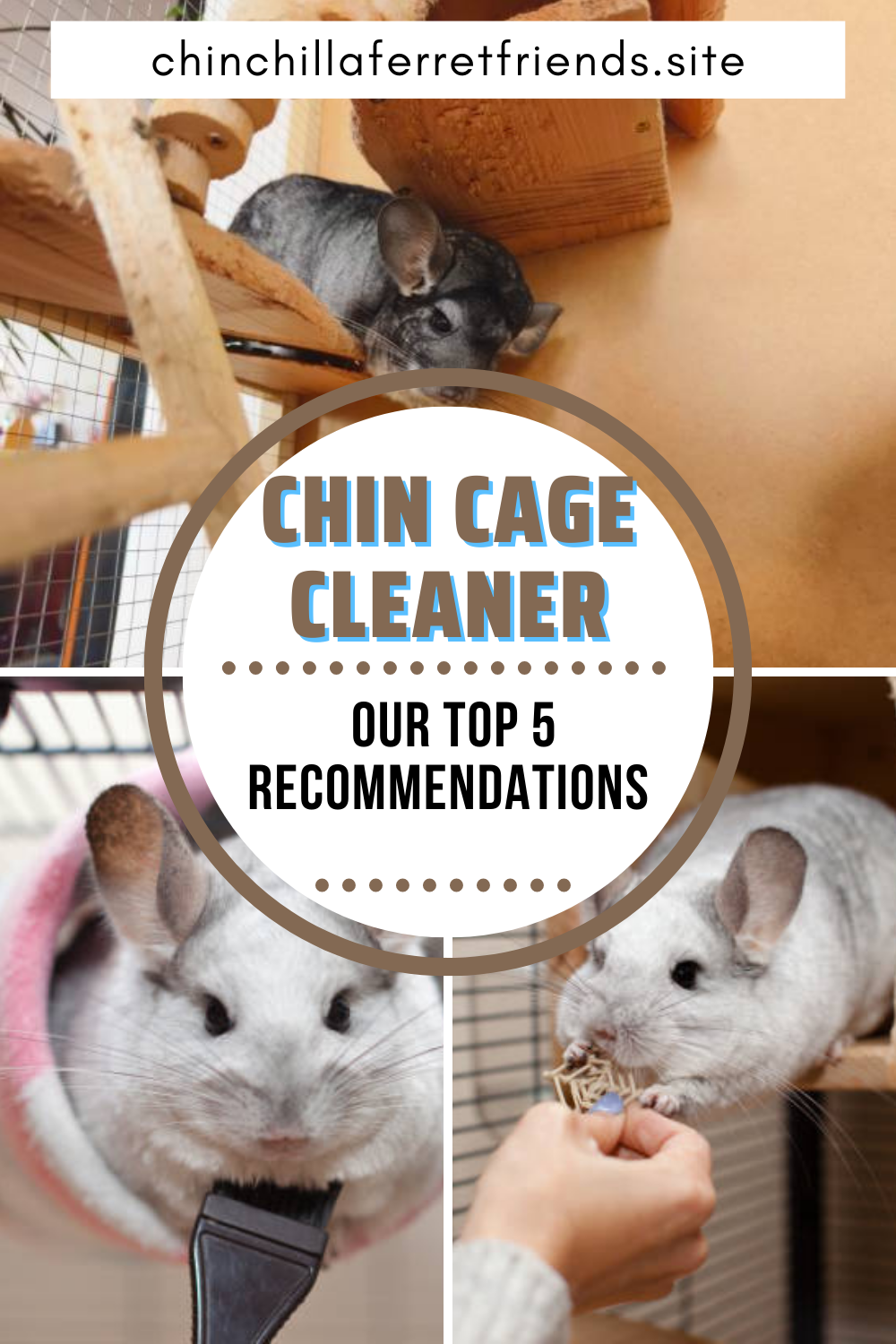 Best Chinchilla Cage Cleaner