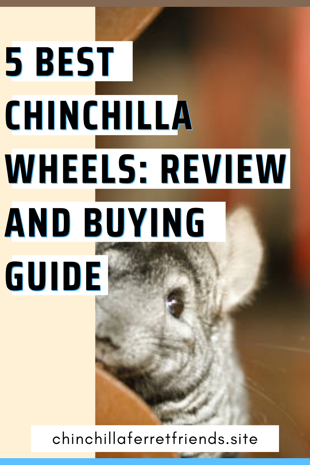 Best Chinchilla Wheels