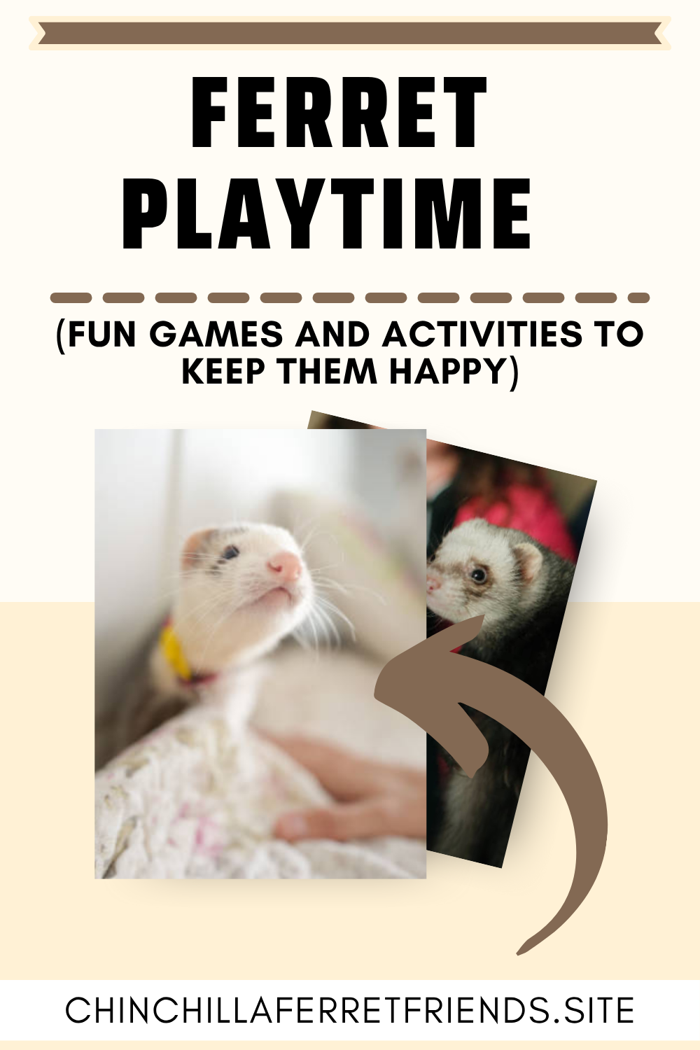 Ferret Playtime